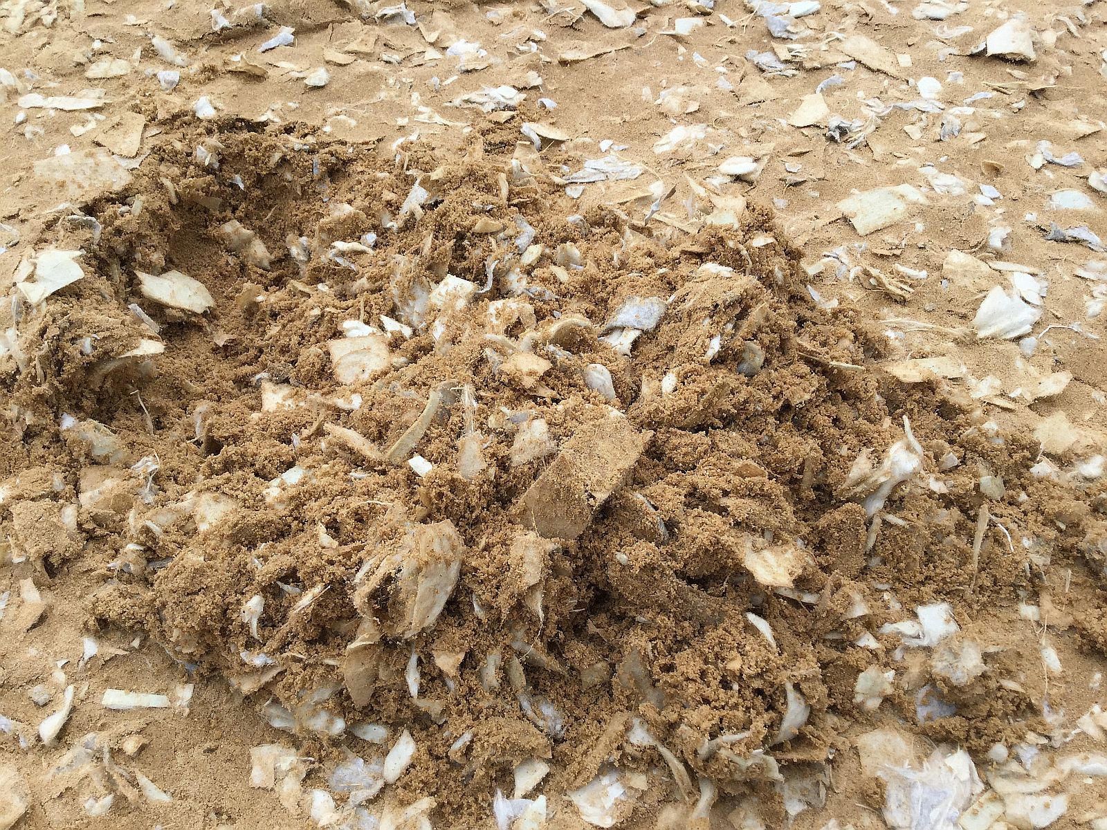 Vlieshäcksel mintgrün verfestigt (Made in Germany)